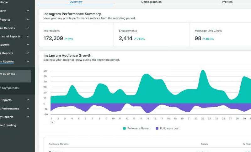 《点赞数最多的INS账号与分析》