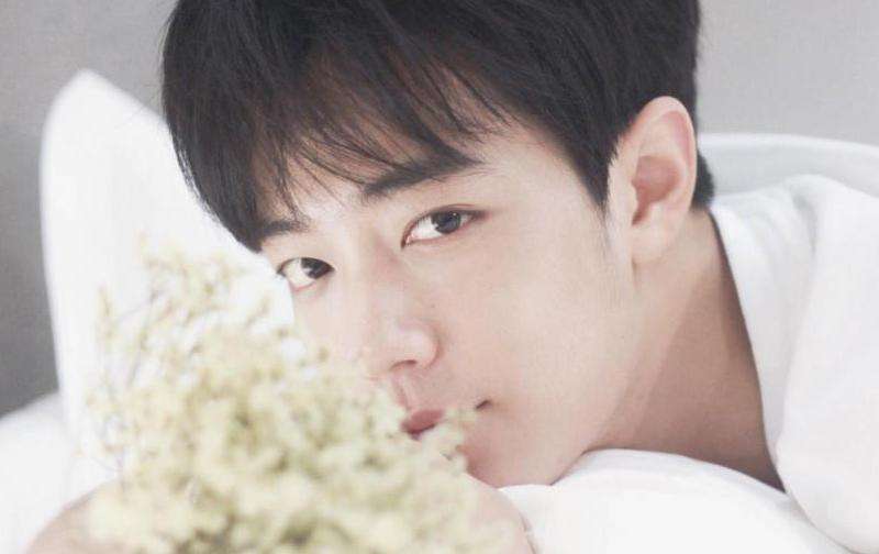 《肖战INS点赞的情况与影响》