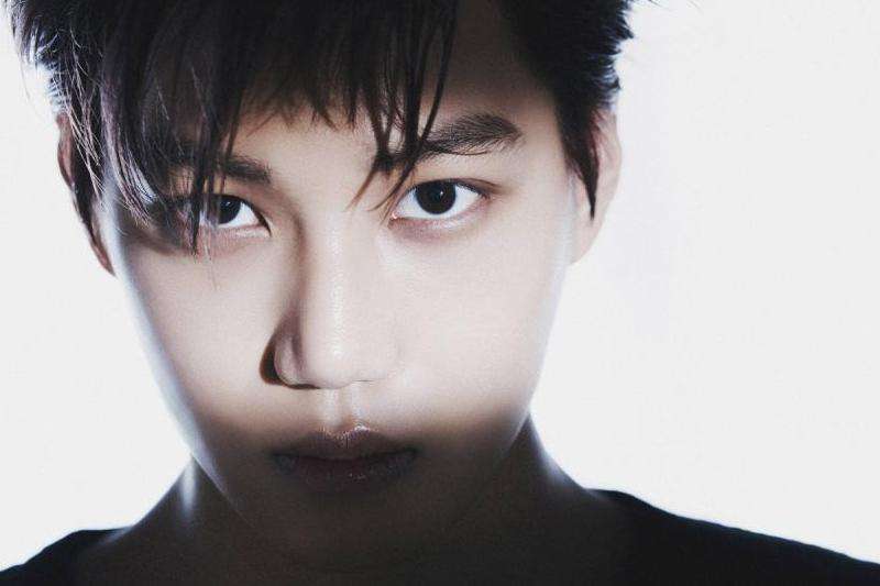 《金钟仁INS点赞的详细情况》