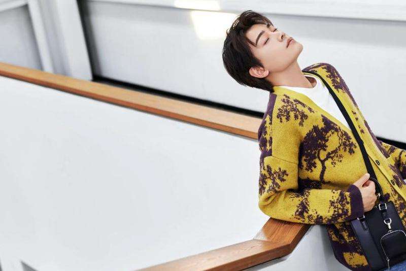 丁禹兮粉丝的Ins网名